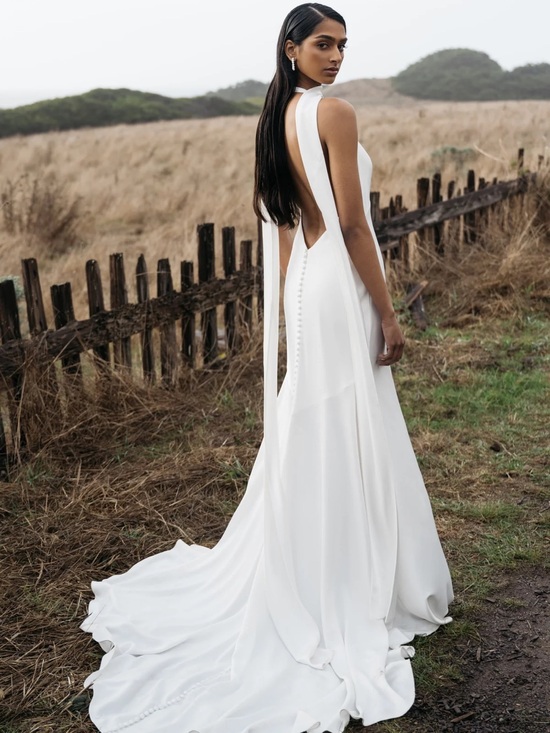 Jenny Yoo Dresses & Skirts - Jenny Yoo JENNIFER Gown